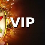 8833bet VIP: O Clube de Vantagens e Recompensas Exclusivas